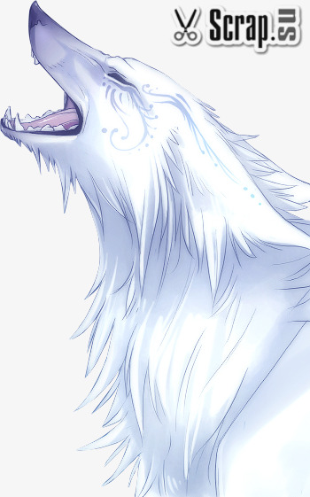 350x561 White Wolf Png, Vectors, Psd, And Clipart For Free Download Pngtree - White Wolf Sketch