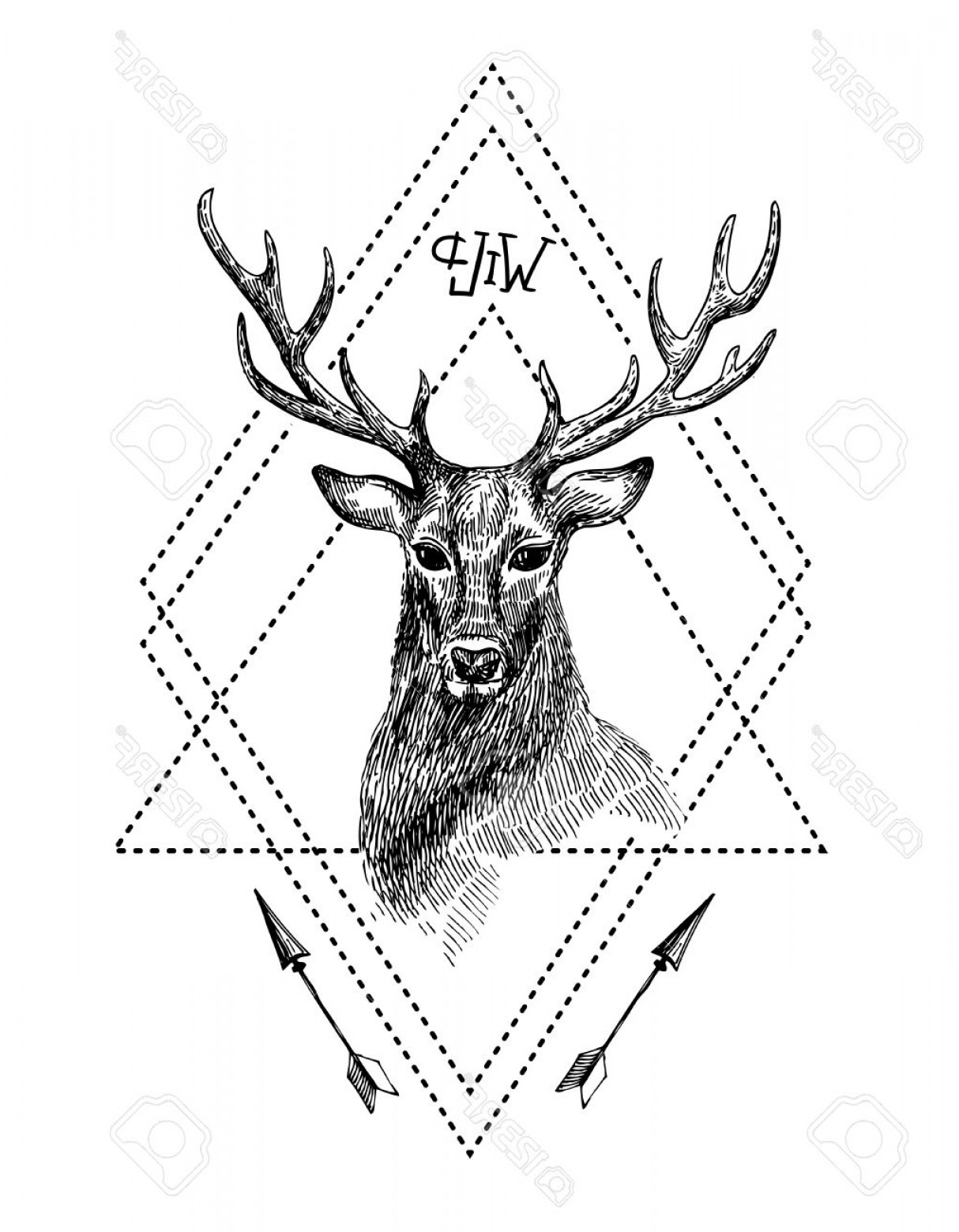 1214x1560 Photostock Vector Hand Drawn Illustration Deer Sketch Of Deer - Whitetail Buck Sketches