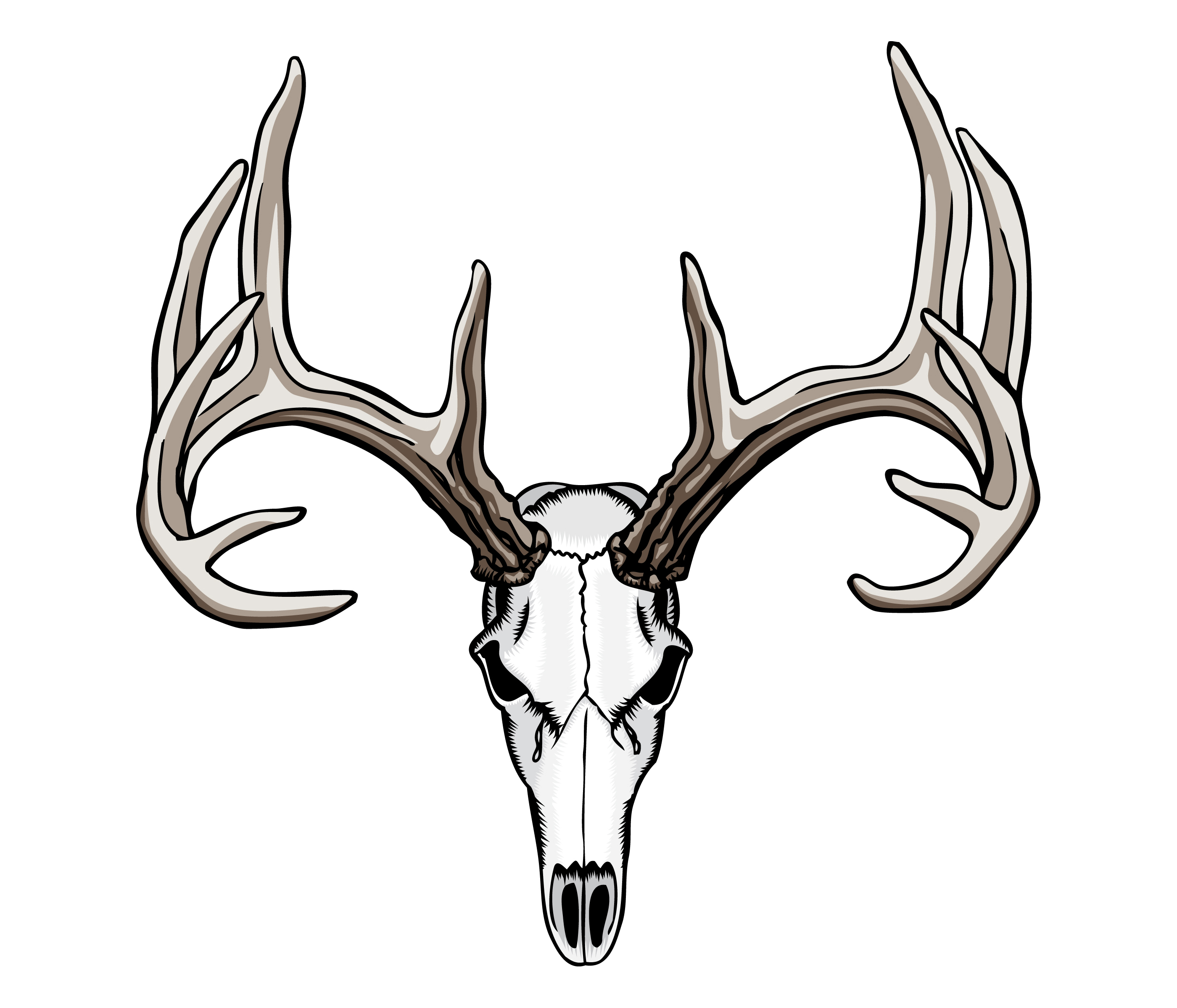 2800x2400 Sketch Of A Deer Head Whitetail Deer Skull Tattoos Art Nouveau - Whitetail Buck Sketches