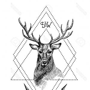 300x300 Photostock Vector Hand Drawn Illustration Deer Sketch Of Deer - Whitetail Deer Sketch