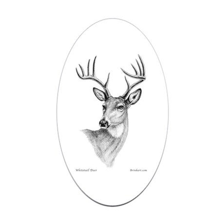 460x460 Whitetail Deer Pencil Drawings Gifts - Whitetail Deer Sketch
