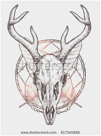 350x470 Deer Anatomy Drawing Pleasant Whitetail Deer Vitals Diagram Shot - Whitetail Deer Sketch
