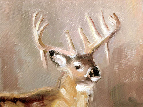 497x373 Painterly Oil Sketch Whitetail Buck - Whitetail Sketch
