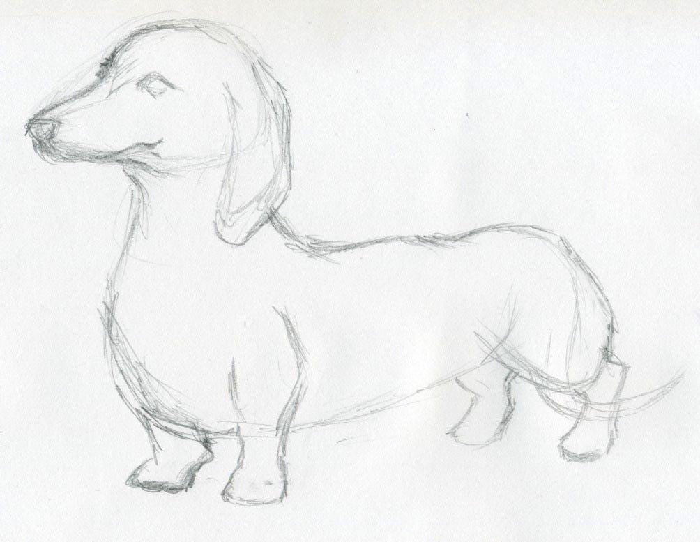 1004x777 Dog Sketches For Inspiration - Wiener Dog Sketch