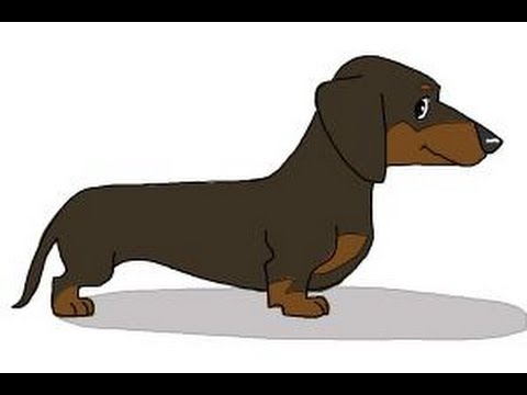 480x360 How To Draw A Dachshund - Wiener Dog Sketch