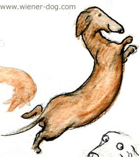 Wiener Dog Sketch at PaintingValley.com | Explore collection of Wiener ...