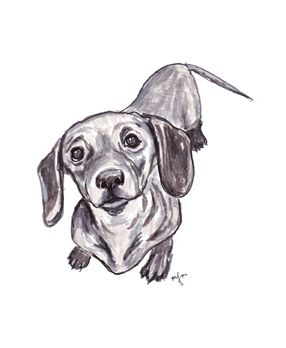 Wiener Dog Sketch at PaintingValley.com | Explore collection of Wiener ...