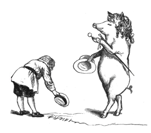 495x434 If A Pig Wore A Wig - Wig Sketch