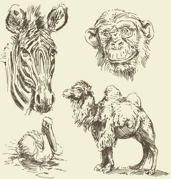 350x368 Line Wild Animal Drawings Free Vector Download (102,853 Free - Wild Animals Sketch