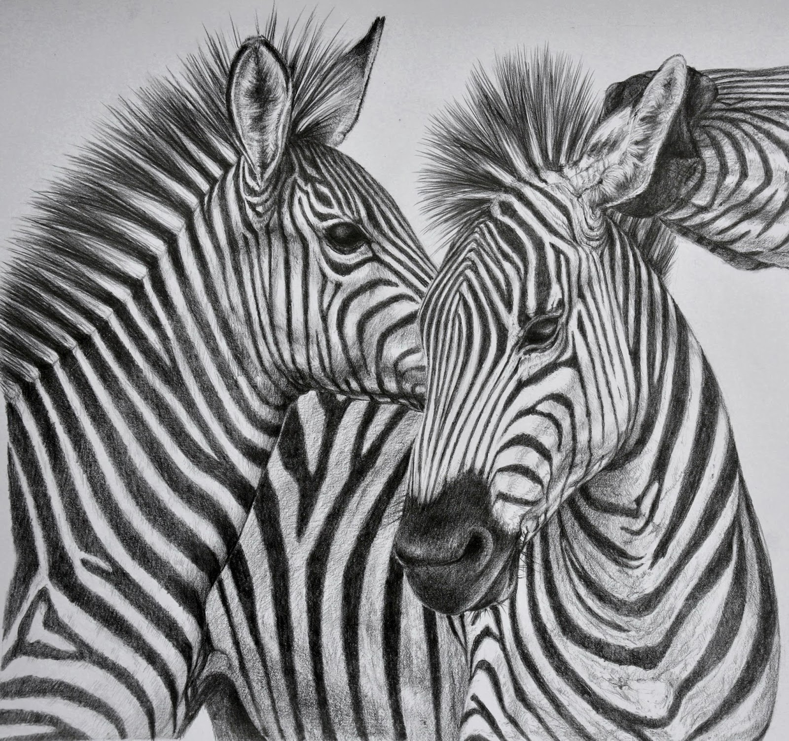 landscape drawing in a animal
