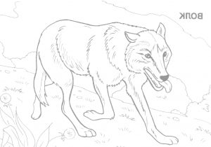 300x210 Sketches Of Wild Animals Pencil Sketches Of Wild Animals Pencil - Wild Animals Sketch