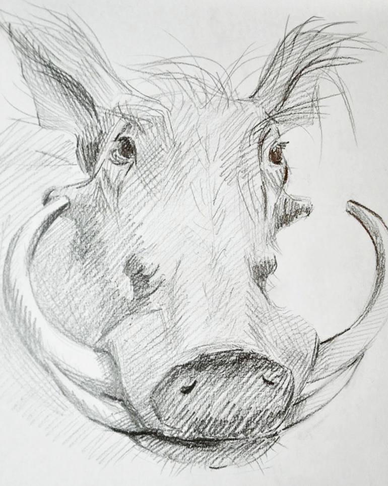 770x963 Wild Boar Drawing By Karine Makartichan Saatchi Art - Wild Boar Sketch