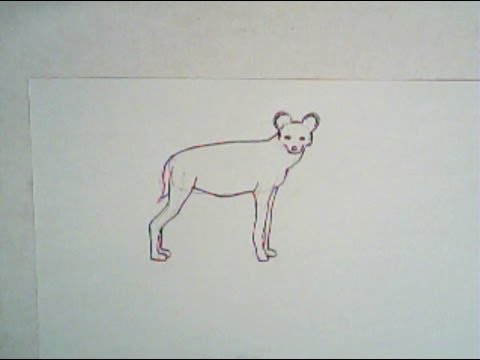 480x360 How To Draw An African Wild Dog (Simple Drawing) - Wild Dog Sketch