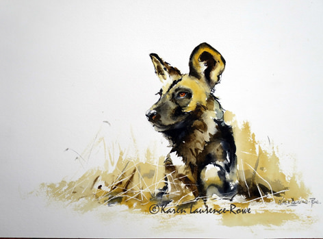 472x349 Wild Dog Sketch Watercolour On Paper - Wild Dog Sketch