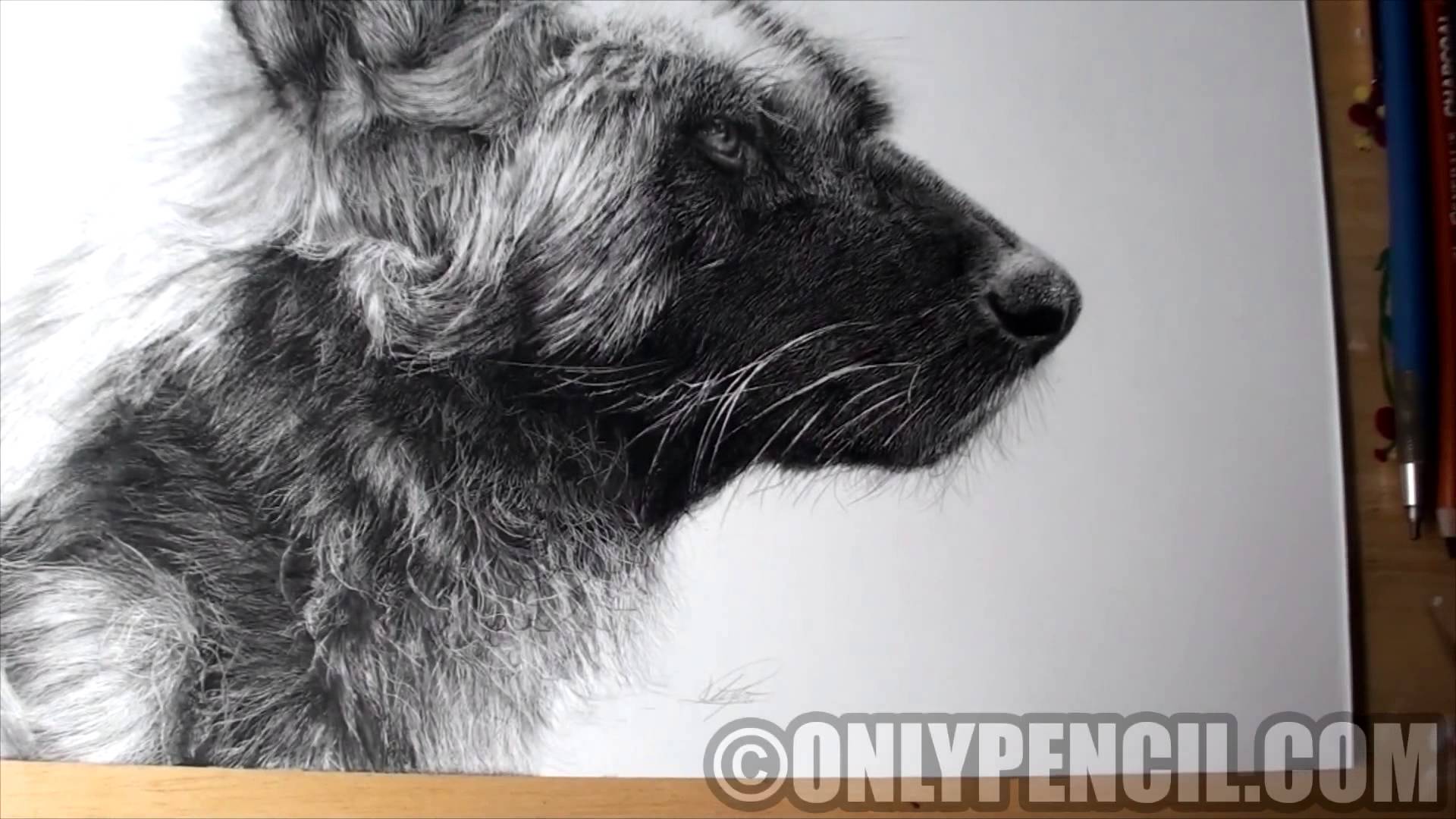 1920x1080 African Wild Dog Pencil Drawing - Wild Dog Sketch