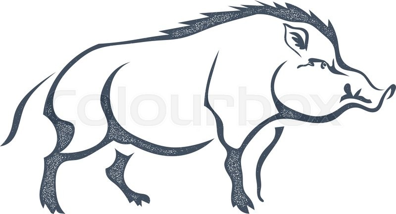 800x433 Sketch Grunge Wild Boar In The Profile.stock Vector Illustration - Wild Hog Sketch