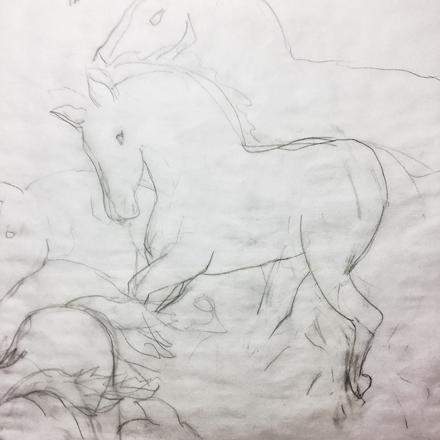 900x900 Preliminary Sketches For The Painting, Melani - Wild Horse Sketch