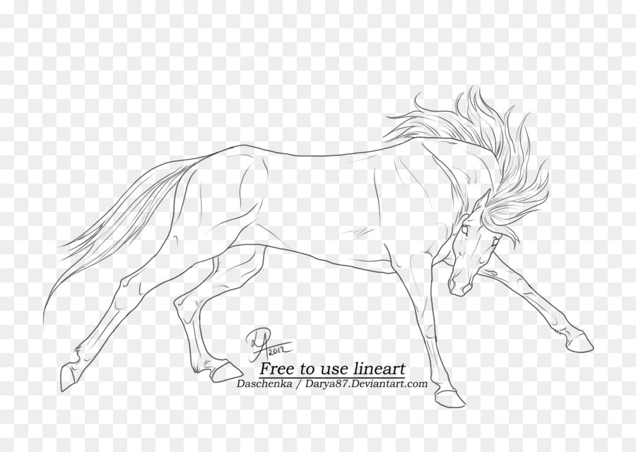 900x640 Arabian Horse Line Art Drawing Wild Horse - Wild Horse Sketch