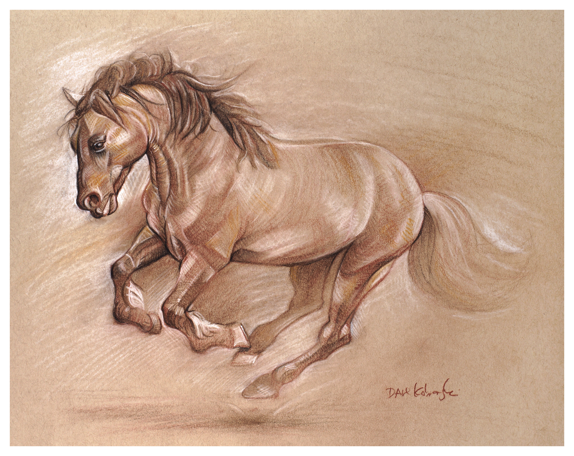 1900x1511 Wild Horse I Spirit Animals Amp Wild Places Drawing By Dave - Wild Horse Sketch