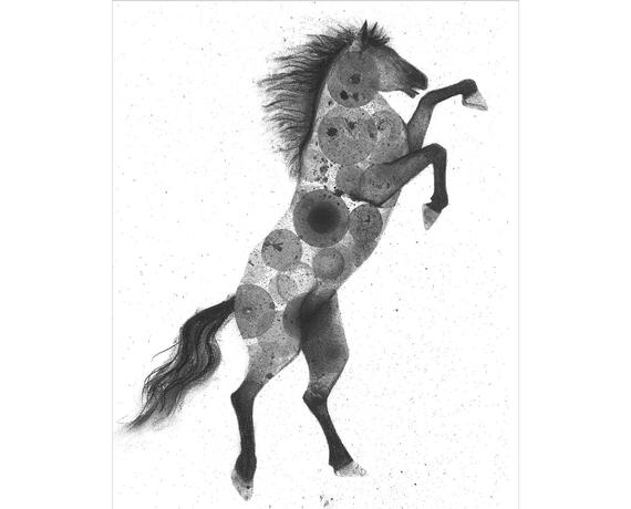 570x460 Wild Horse Print Of Original Ink Bubble And Charcoal Drawing Etsy - Wild Horse Sketch