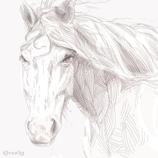 600x600 Wild Horse An Animals Speedpaint Drawing By Pppman - Wild Horse Sketch
