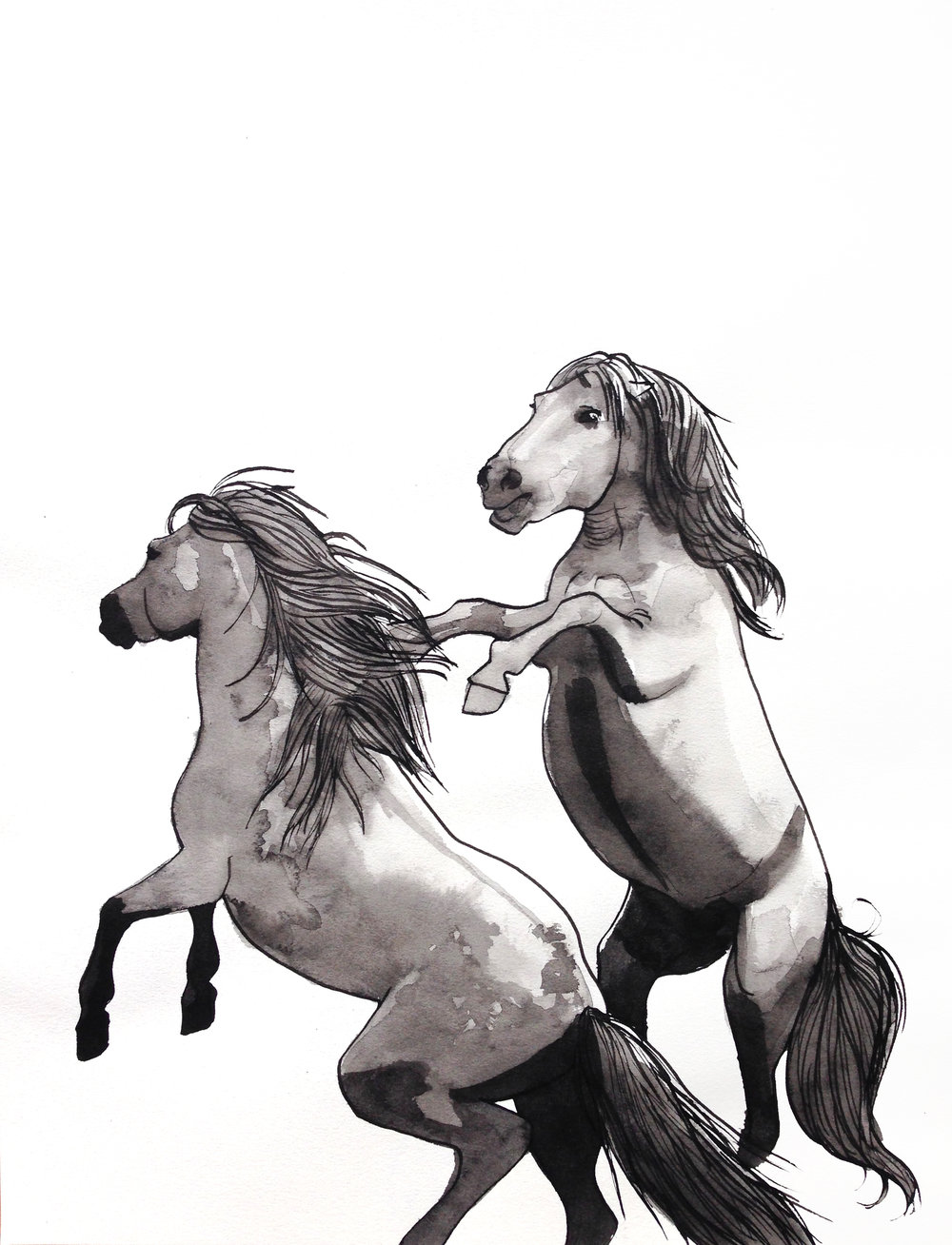 1000x1308 Wild Horses Original Ink Drawing Ciara Barsotti Art - Wild Horse Sketch