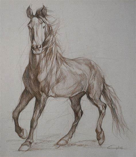 Wild Horse Sketch at PaintingValley.com | Explore collection of Wild ...