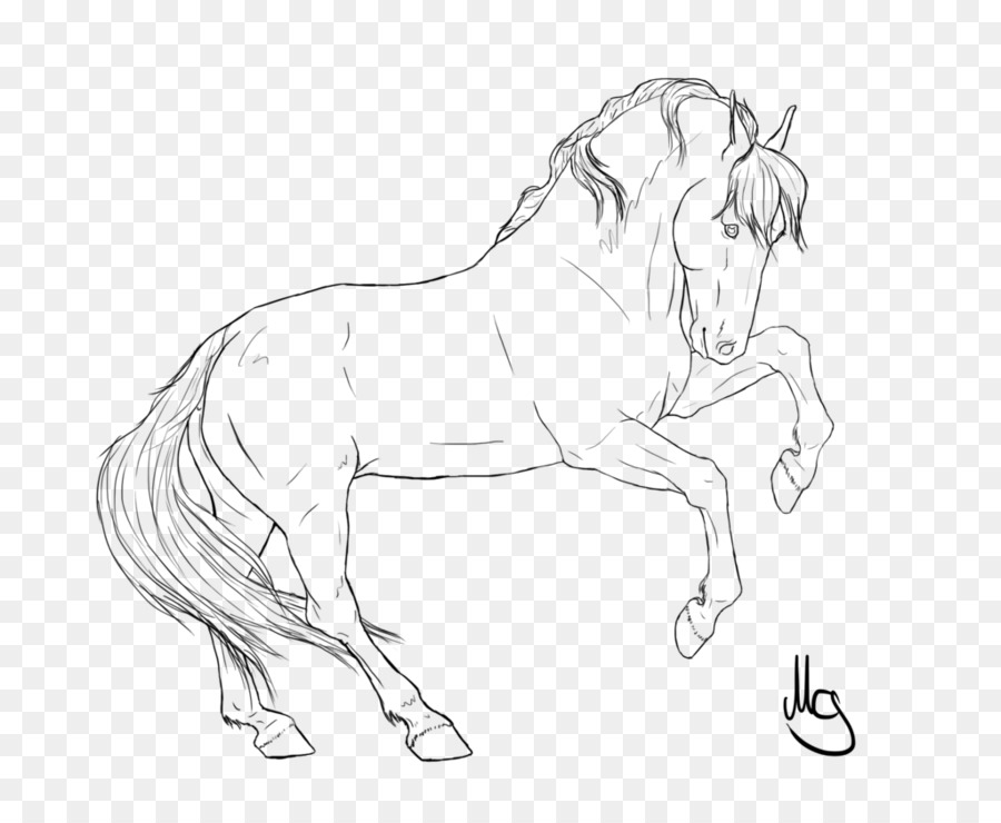 900x740 Wild Horse Drawing Line Art Pencil - Wild Horse Sketch