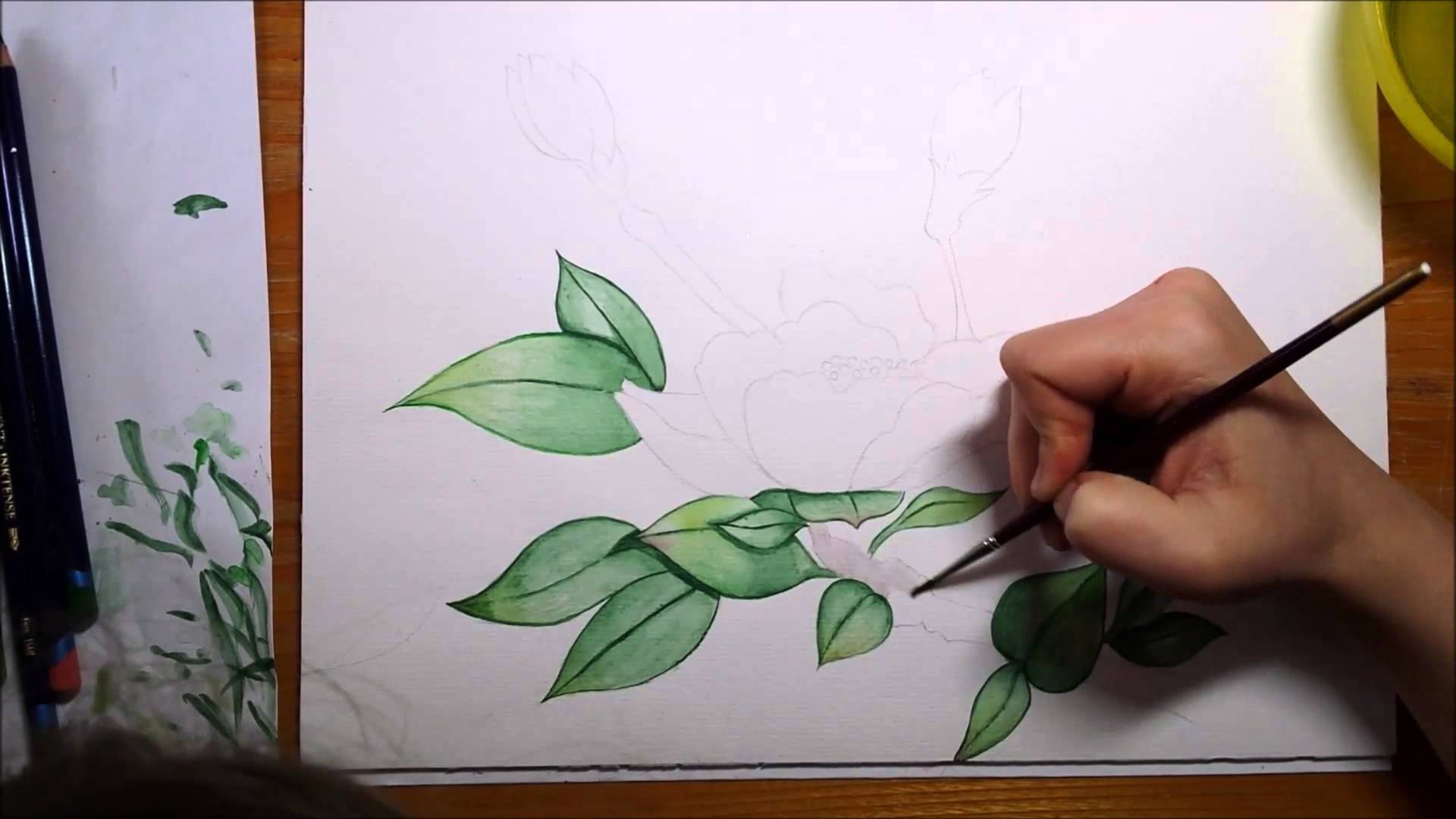 1920x1080 How To Draw A Wild Rose Watercolor Laurakathleendrawings - Wild Rose Sketch
