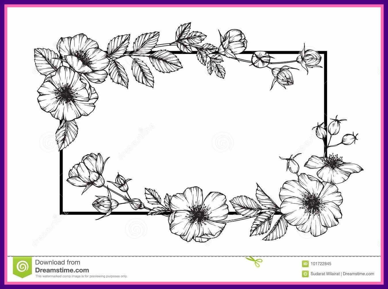 1350x1007 Sketch Flower Frame Drawing Pictures - Wild Rose Sketch