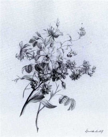 369x470 A Succulent, A Geranium, And A Sprig Of Wild Rose And Delphinium - Wild Rose Sketch