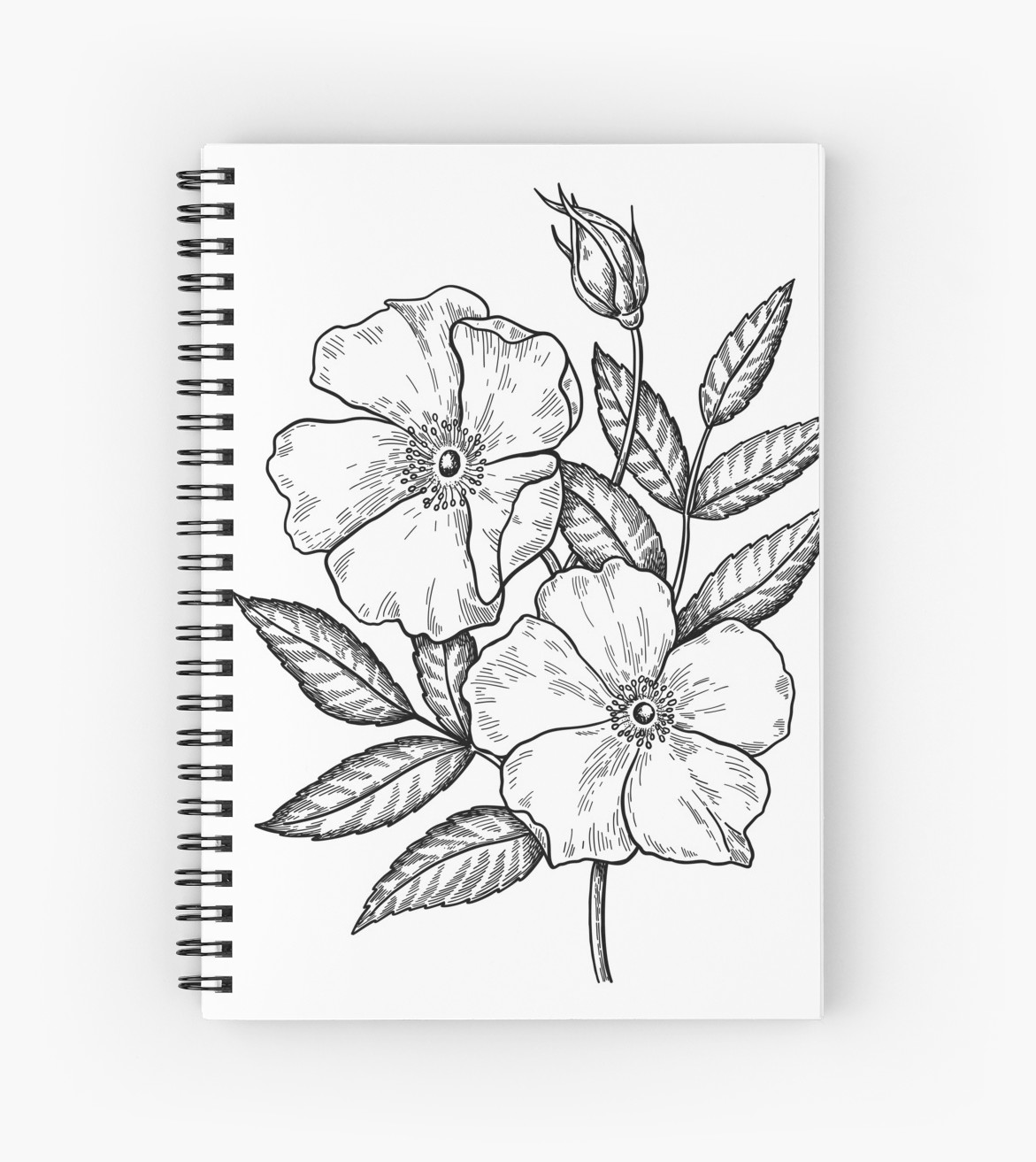 1171x1313 Wild Rose Botanical Drawing Spiral Notebooks By Epine Redbubble - Wild Rose Sketch