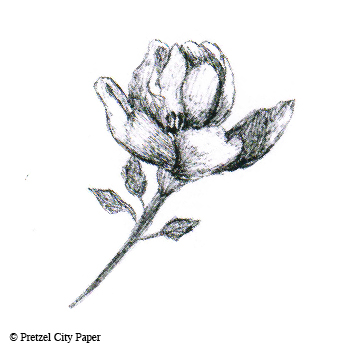 349x349 Wild Rose Stamp Pretzel City Paper - Wild Rose Sketch