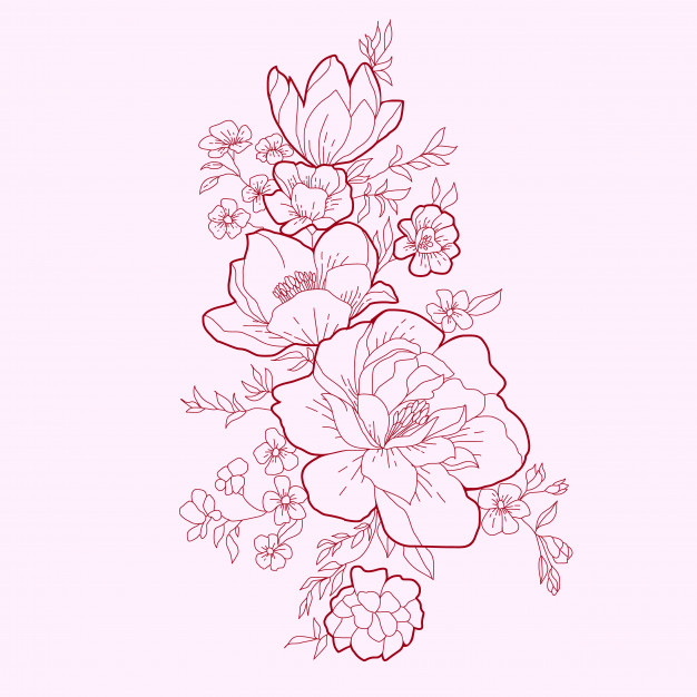 626x626 Wild Rose Flowers Drawing And Sketch Vector Premium Download - Wild Rose Sketch