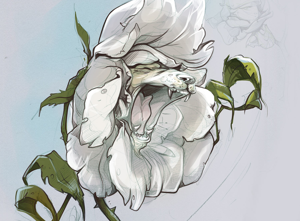 960x708 Wild Roses Sketches By Aneta Fontner - Wild Rose Sketch