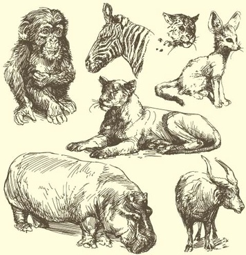 356x368 Wild Animals Sketch Free Vector Download (10,292 Free Vector) For - Wild Sketch
