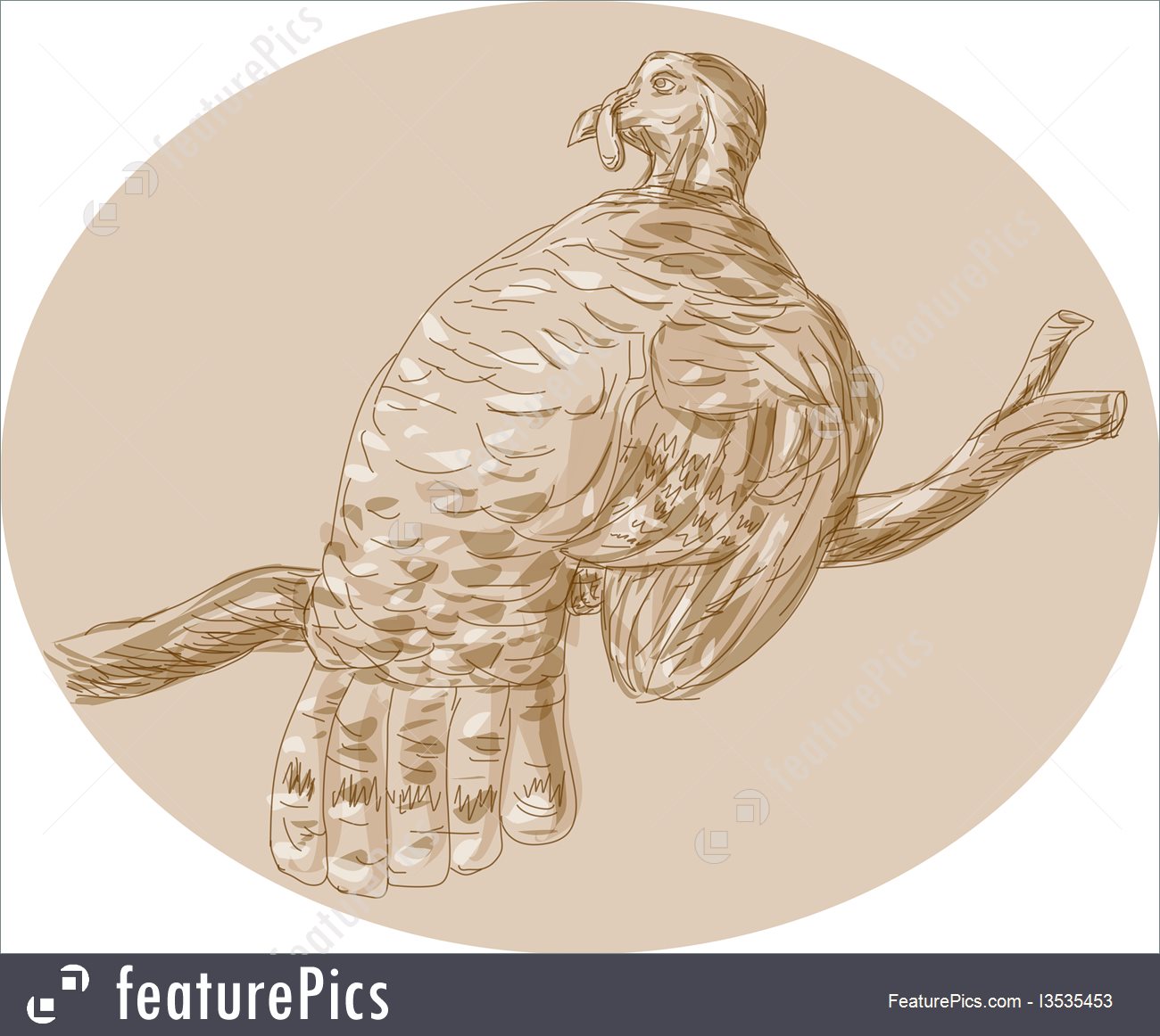 1300x1162 Illustration Of Wild Turkey Perching On Branch Sketch - Wild Turkey Sketch