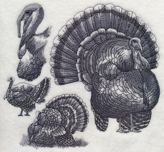 577x532 Machine Embroidery Designs - Wild Turkey Sketch