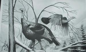 300x182 Signed Lithograph Jesse Ray Landscape Two Wild Turkey Pencil - Wild Turkey Sketch