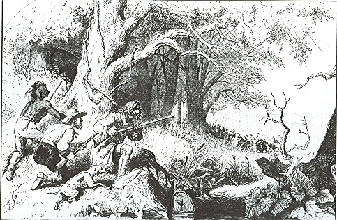 483x316 American Wild Turkey Hunting Dog Association - Wild Turkey Sketch