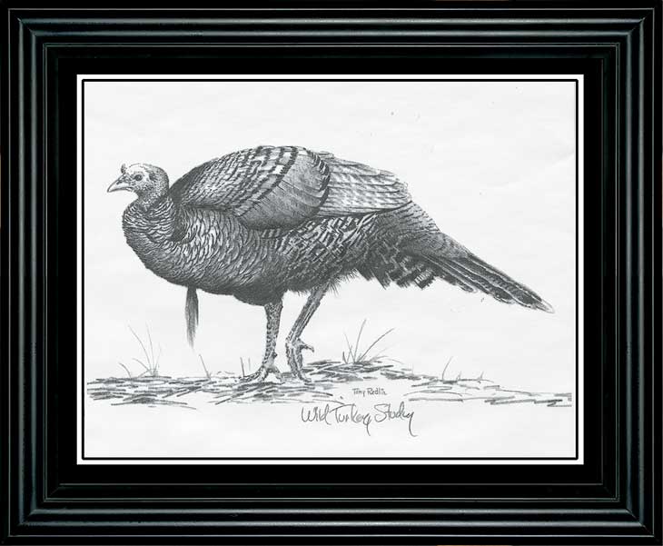 730x601 Framed Wild Turkey Study Pencil Sketch By Terry Redlin Wild Wings - Wild Turkey Sketch