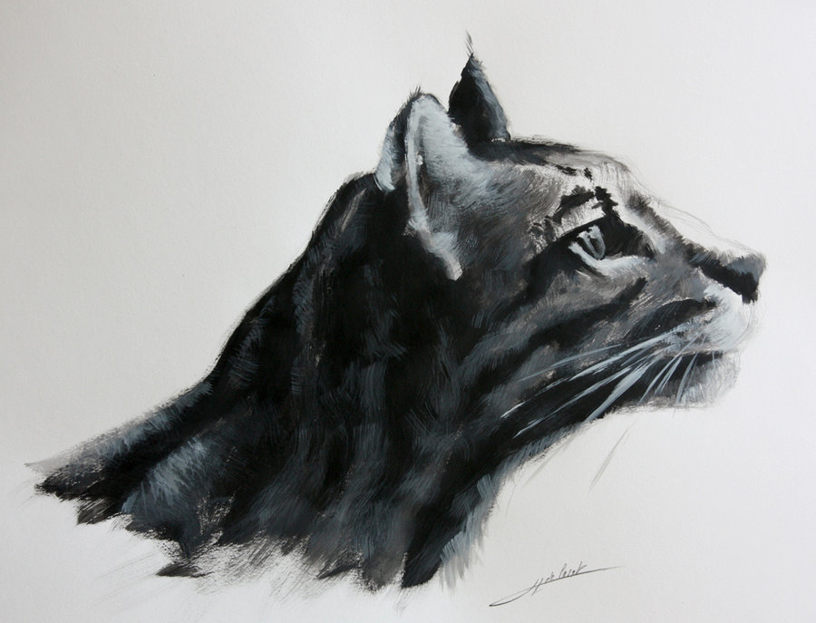 900x687 Sketch Wildcat By Jibudp - Wildcat Sketch