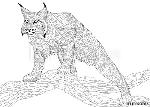 500x357 Stylized Hunting Wildcat (Lynx, American Bobcat, Caracal) Ready To - Wildcat Sketch