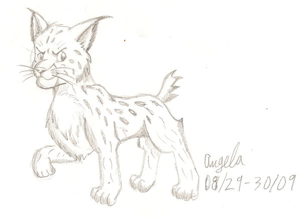 600x435 Wildcat Sketch By Sherri Kitsune - Wildcat Sketch