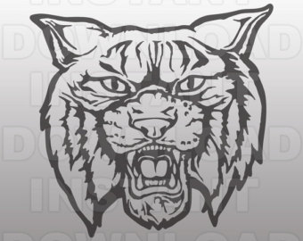 340x270 Wildcat Decal Etsy - Wildcat Sketch
