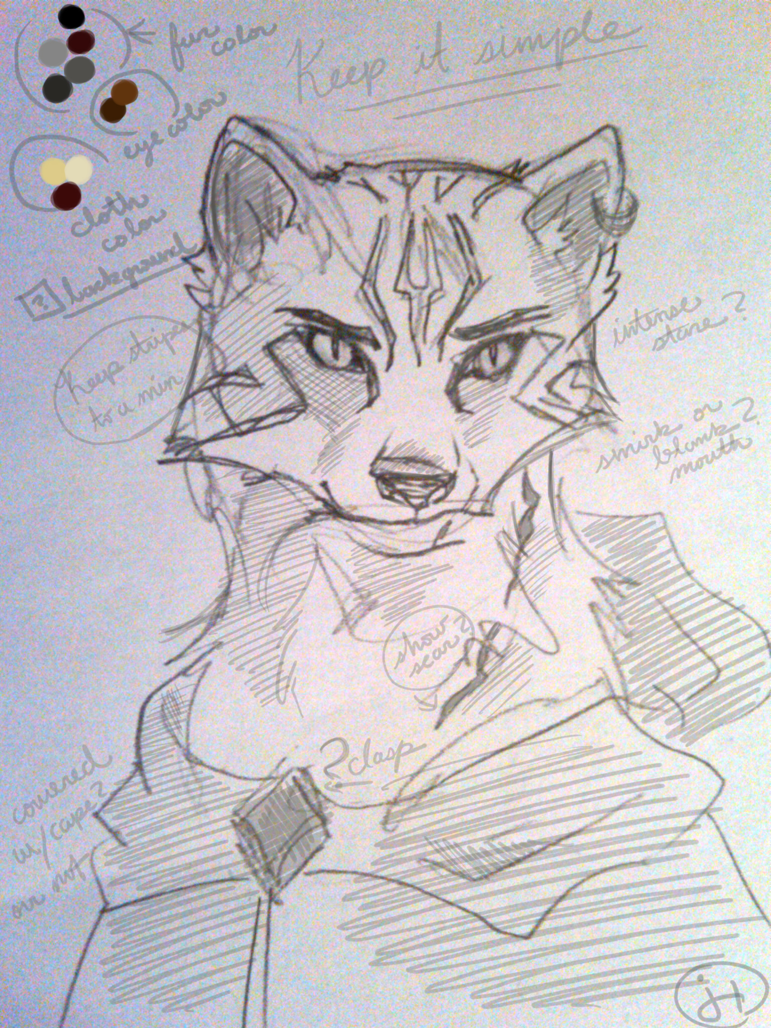 1536x2048 Image - Wildcat Sketch