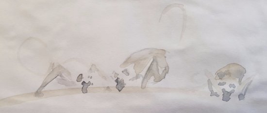 550x233 Langur Monkeys By The Pool - Wilderness Sketch