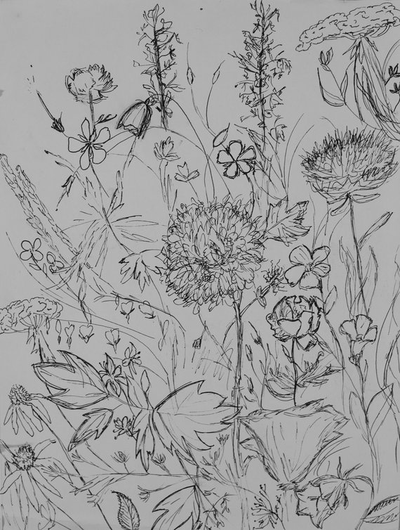 570x754 Wildflower Sketch Print Original Sketch Print Floral Etsy - Wildflower Sketch
