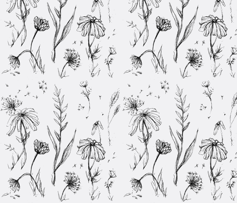470x403 Wildflower Sketch Wallpaper - Wildflower Sketch