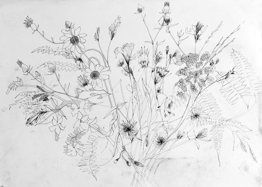 1024x731 Wildflowers Jam Jar Full Of Flowers. Quick Sketch Using - Wildflower Sketch